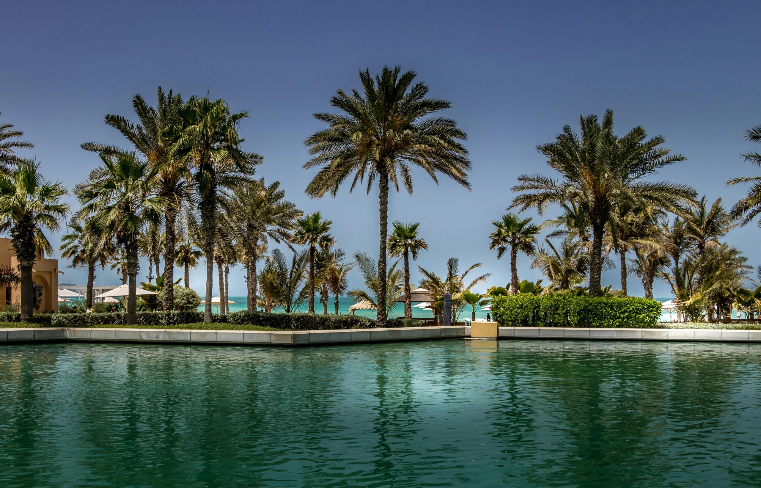 Palmeras altas rodeando una piscina con vista al mar turquesa, sombrillas blancas y cielo despejado en un resort de playa tropical.